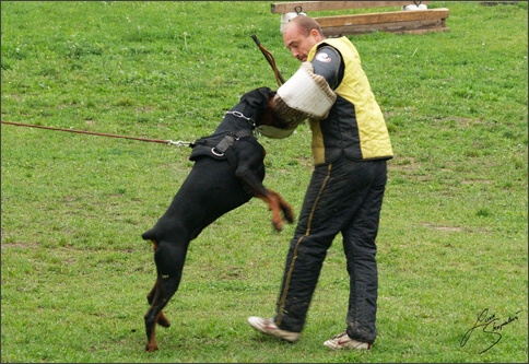 Training in Prague 10/2007